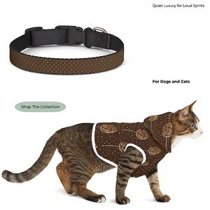 Fil De Seda Sweater and Collar